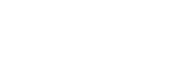 Bridge Capital